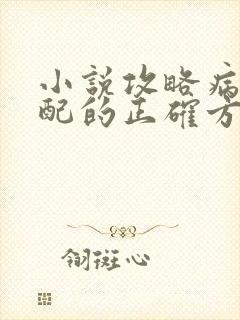 小说攻略病娇男配的正确方法txt