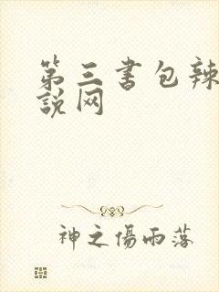 第三书包辣文小说网封面