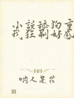 小说舔狗重生,我狂刷好感度小说