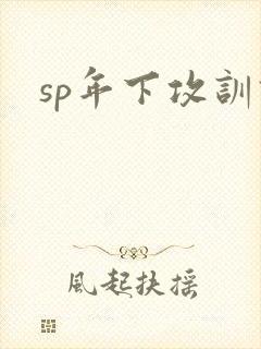 sp年下攻训诫封面