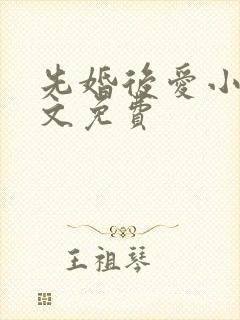 先婚后爱小说全文免费