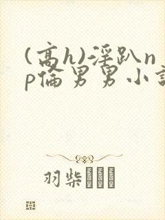 (高h)淫趴np伦男男小说