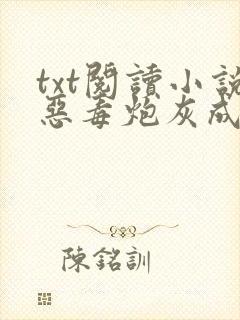 txt阅读小说恶毒炮灰成为反派白月光