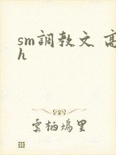 sm调教文 高h