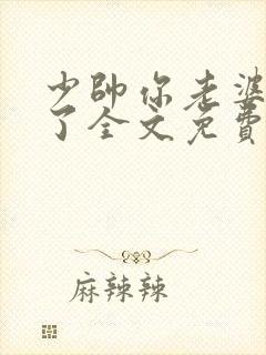 少帅你老婆又跑了全文免费阅读封面