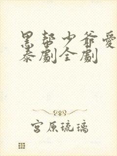 黑帮少爷爱上我泰剧全剧