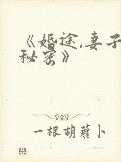 《婚途,妻子的秘密》