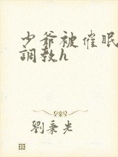 少爷被催眠玩弄调教h