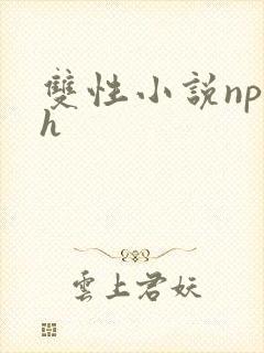 双性小说np高h封面