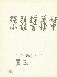 强烈推荐好看的小说言情中短篇