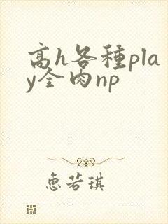 高h各种play全肉np