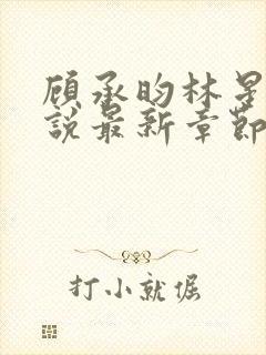 顾承昀林星禾小说最新章节免费阅读