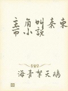 主角叫秦东的都市小说