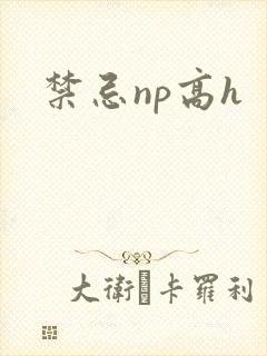 禁忌np高h