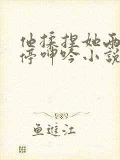 他揉捏她两乳不停呻吟小说