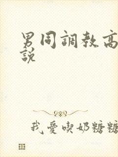 男同调教高h小说