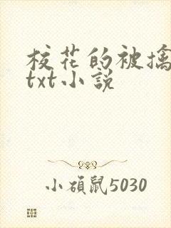 校花的被擒日常txt小说