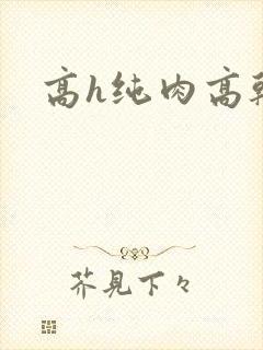 高h纯肉高干文