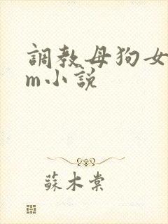调教母狗女奴sm小说封面