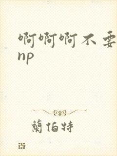 啊啊啊不要高hnp