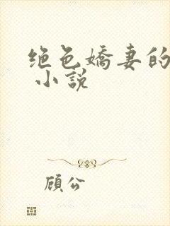 绝色娇妻的秘密 小说