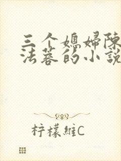 三个媳妇陈红陈法蓉的小说叫什么名
