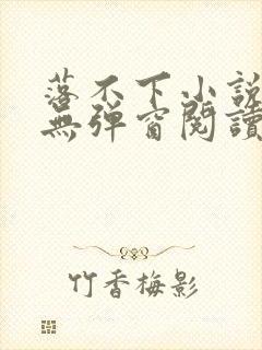 落不下小说免费无弹窗阅读