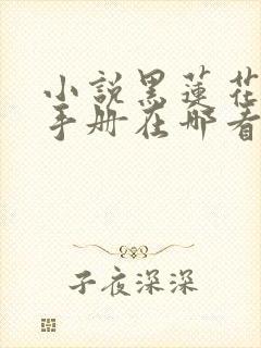 小说黑莲花攻略手册在哪看封面