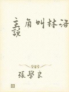 主角叫林洛的小说