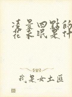 凌晨四点的海棠花未眠是什么意思