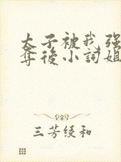 太子被我强取豪夺后小词姐姐