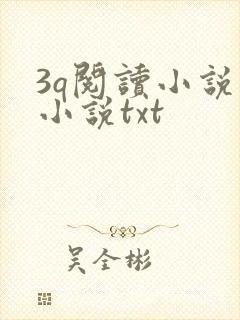 3q阅读小说网小说txt