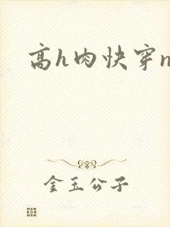 高h肉快穿np