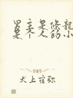 男主是条龙女主是个人的小说