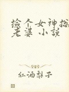 捡个女神总裁当老婆 小说