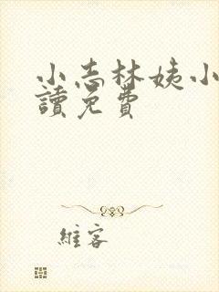 小志林姨小说阅读免费