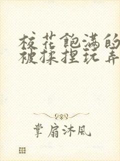 校花饱满的双乳被揉捏玩弄小说封面