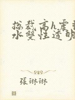 总裁高h震动喷水双性透明人小说