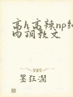 高h高辣np纯肉调教文