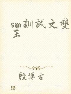 sm训诫文双男主封面