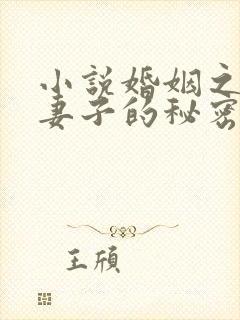 小说婚姻之殇:妻子的秘密免费阅读