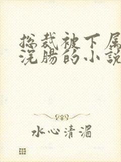 总裁被下属绑着浣肠的小说