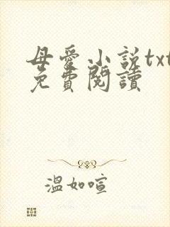 母爱小说txt免费阅读