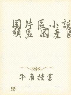 图片区小说区视频区 国产 欧美 日韩