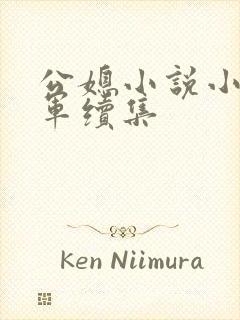 公媳小说小玲建军续集封面