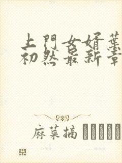 上门女婿叶辰萧初然最新章节免费阅读