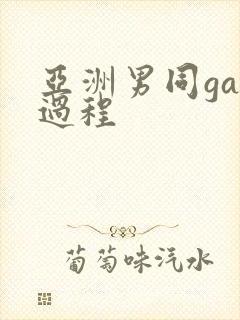 亚洲男同gay过程