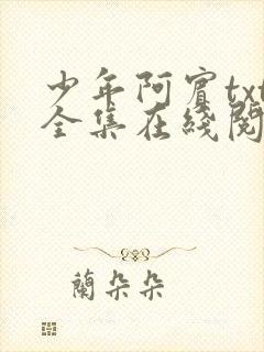 少年阿宾txt全集在线阅读封面