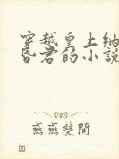 穿越皇上纳妃当昏君的小说