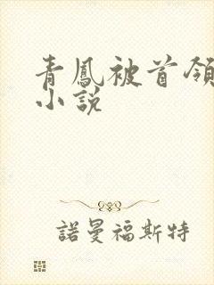 青凤被首领囚禁小说